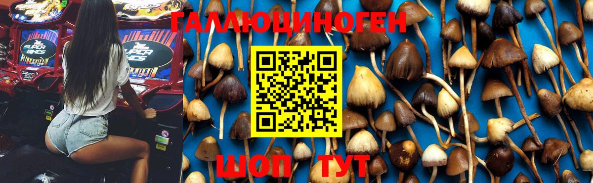 Абинск  Галлюциногенные грибы ЛСД  Галлюциногенные грибы Magic Shrooms  Вход с VPN 