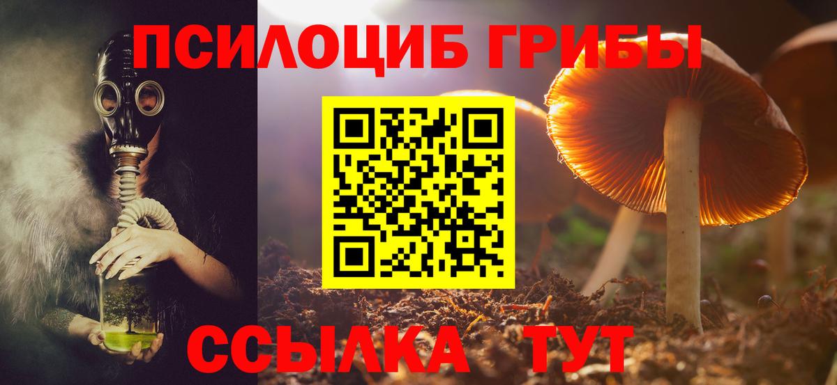 Псилоцибиновые грибы мицелий Абинск