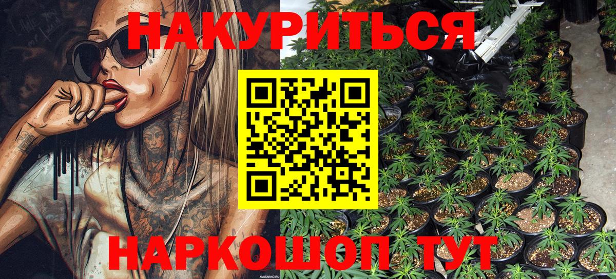 Шишки марихуана план Абинск